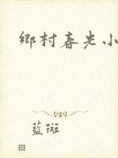 乡村春光小说