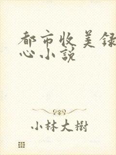 都市收美录宁素心小说