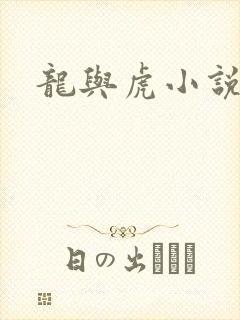 龙与虎小说