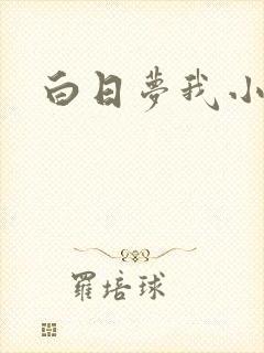 白日梦我小说