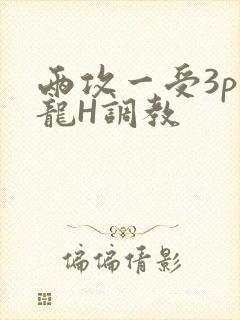 两攻一受3p双龙H调教