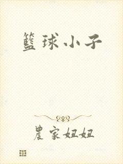 篮球小子