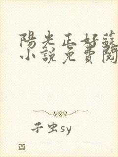 阳光正好苏玥玥小说免费阅读无弹窗