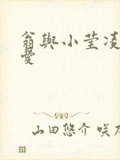 翁与小莹凌晨欢爱