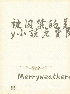 被囚禁的美人by小说免费阅读