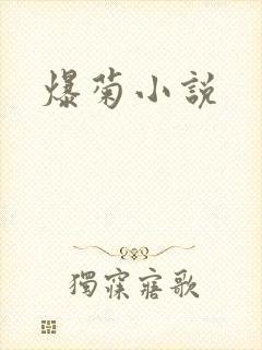 爆菊小说