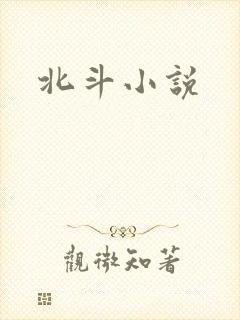北斗小说