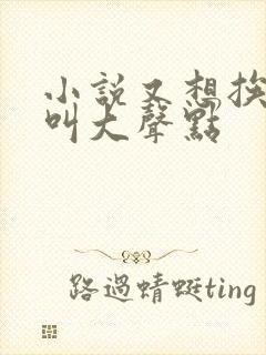 小说又想挨C了叫大声点