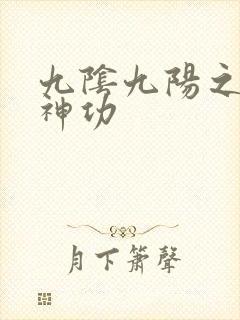 九阴九阳之阴阳神功