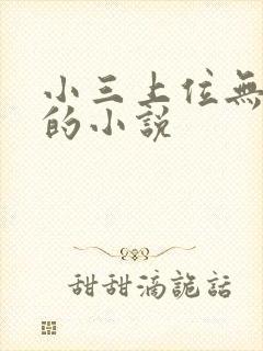 小三上位无三观的小说