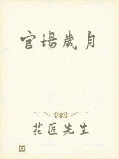 官场岁月