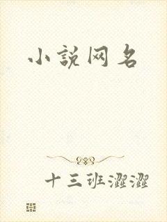 小说网名