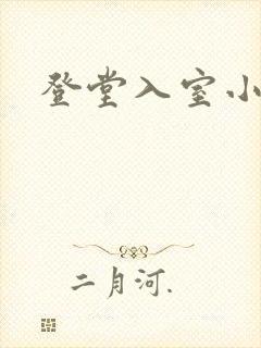 登堂入室小说