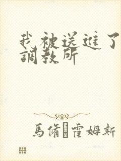 我被送进了私奴调教所