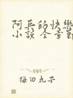 阿兵的快乐生活小说 全章节阅读免费