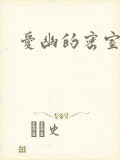 爱幽的密室小说