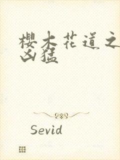 樱木花道之重生凶猛