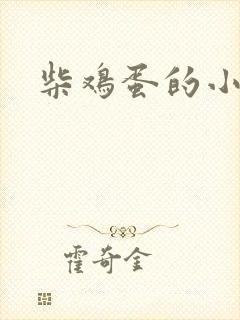柴鸡蛋的小说