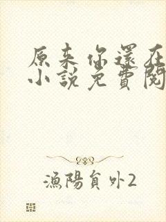 原来你还在这里小说免费阅读
