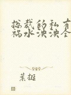 总裁的私有宝贝祸水泱泱全文阅读