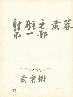 射雕之黄蓉新传第一部