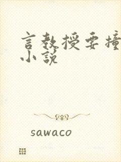 言教授要撞坏了小说