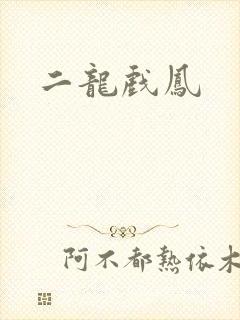 二龙戏凤