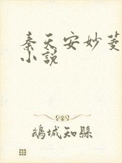 秦天安妙菱修仙小说