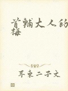 首辅大人的小青梅