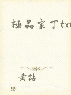 极品家丁txt