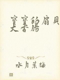 宝宝的扇贝想吃大香肠