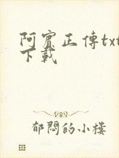 阿宾正传txt下载