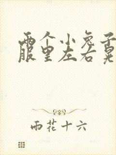 两个小兔子在衣服里左右晃