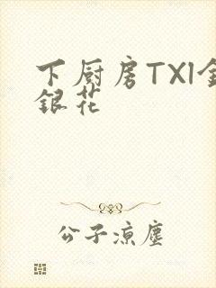 下厨房TXl金银花