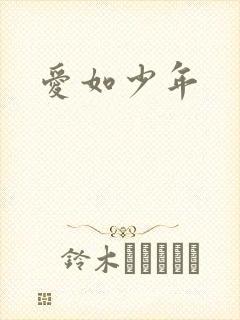 爱如少年