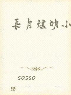 长月烬明小说