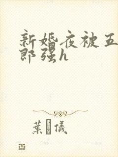 新婚夜被五个伴郎强h