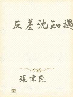 反差沈知遇晏应