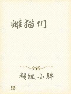 雌猫们