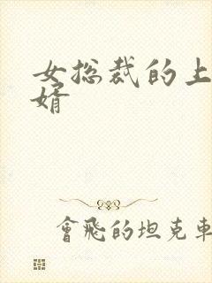 女总裁的上门女婿