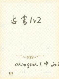 占鸾1v2