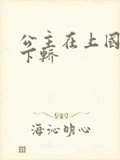 公主在上国师请下轿