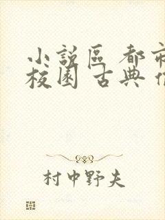 小说区 都市 校园 古典 偷拍