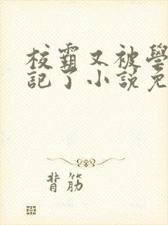 校霸又被学神标记了小说免费阅读