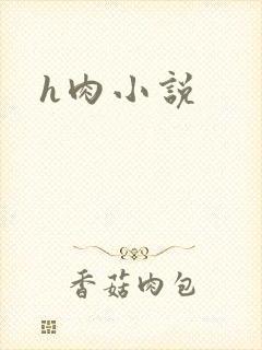 h肉小说