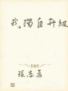 我独自升级小说