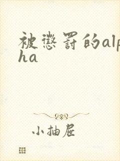 被惩罚的alpha