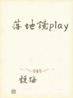 落地镜play
