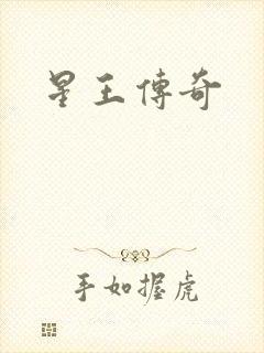 星王传奇