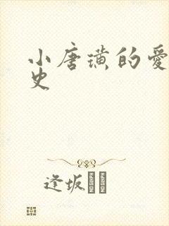 小唐璜的爱情历史